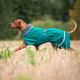 Perus Pomppa for Harness Forest - kurtka zimowa dla psa, z otworem na szelki, zielona