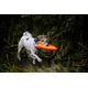 Julius-K9 Multidummie One Hand - wielofunkcyjny szarpak dla psa, zabawka do wody