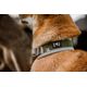 Hurtta Venture Collar - obroża dla psa