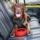Kurgo Splash Free Wander Dog Water Bowl 710ml - miska dla psa przeciw chlapaniu