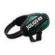 Julius-K9 IDC Powerharness Dark Green - najwyższej jakości szelki, uprząż dla psów, w kolorze ciemnej zieleni
