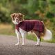 Woolie Pomppa Maroon - sweter z wełną dla psa, bordowy