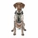 Kurgo Journey Air Harness Black - szelki do biegania dla psa, czarne