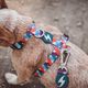 Dashi Mojo Back Harness - regulowane szelki guard dla psa, wzór w kolorowe fale
