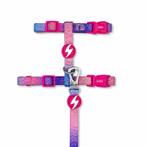 Dashi Lumix Haze Cat Harness + Leash - szelki i smycz dla kota, zestaw, różowo-fioletowe