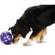 PetSafe Busy Buddy Kibble Nibble - zabawka na przysmaki dla psa, jajko