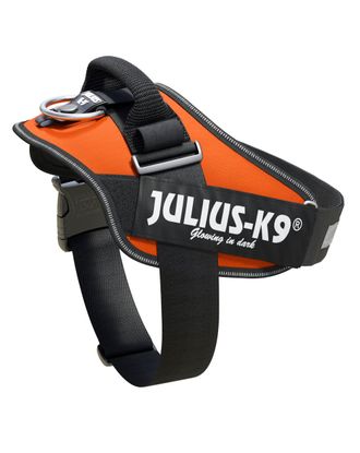 Julius-K9 IDC Powerharness UV Orange 
