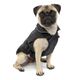 Kurgo North Country Coat Black  - kurtka przeciwdeszczowa dla psa, z lampką LED