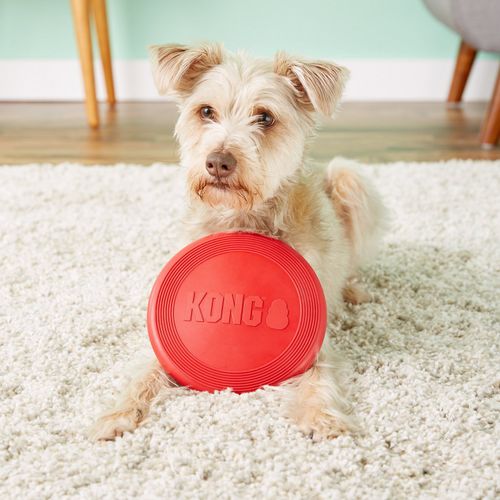 Flyer kong 2025