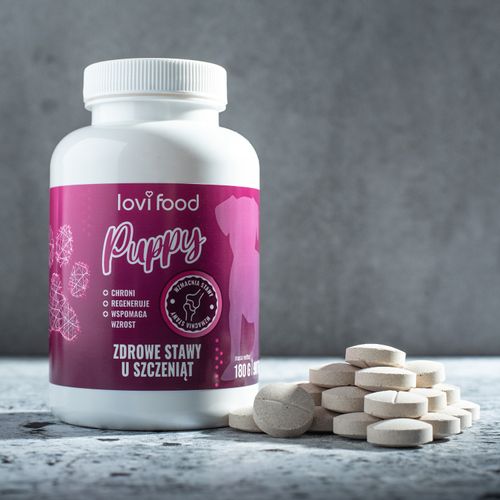 Lovi Food Zdrowe Stawy Puppy 90tbl. - preparat na stawy dla szczeniaka, w tabletkach