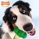 Nylabone Power Chew Broccoli - twardy gryzak dla psa, brokuł o zapachu sera z bekonem