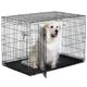 MidWest New World Basic B48 DD rozmiar XXL - klatka dla psa, 123x77x82cm