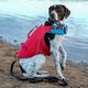 Kurgo Surf N Turf Life Jacket - kapok dla psa, kamizelka do pływania