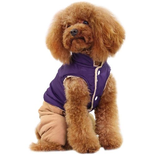 Dobaz ocieplany komplet: kurteczka dla psa + spodnie, fioletowy