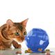PetSafe SlimCat Interactive Feeder - zabawka przysmaki dla kota, spowalniacz jedzenia dla kota