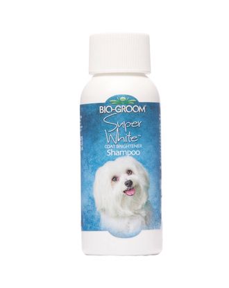 Bio-Groom Super White Shampoo - szampon rozjaśniający biały kolor sierści psa i kota - 60ml