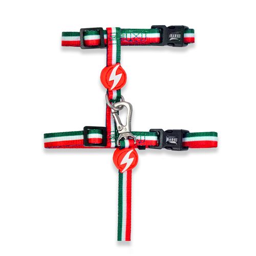 Dashi Stripes Green & Red Cat Harness + Leash - szelki i smycz dla kota, zestaw, zielono-czerwone paski