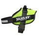 Julius-K9 IDC Powerharness Lime - najwyższej jakości szelki, uprząż dla psów w kolorze limonkowym