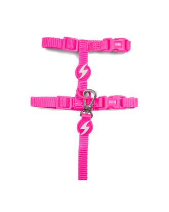Dashi Neon Pink Cat Harness + Leash - nylonowe szelki i smycz dla kota, zestaw, neonowy róż