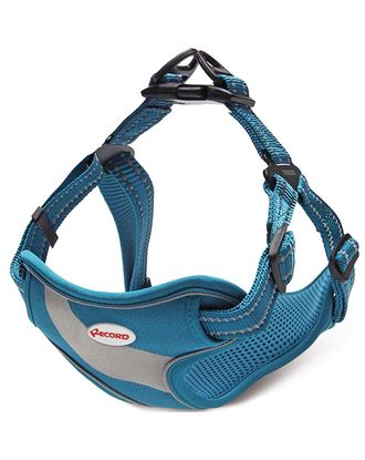 Record Action Himalaya Harness Turquoise - bardzo wygodne szelki dla psa z odblaskowymi elementami, turkusowe