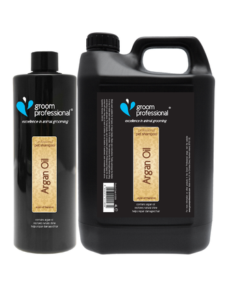 Groom Professional Argan Oil Shampoo - nawilżający szampon z olejkiem arganowym, do włosów suchych, koncentrat 1:10