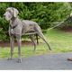 PetSafe Anti-Pull Dog Leash 116cm - smycz dla psa, do szelek no-pull