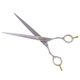 P&W Wild Rose Straight Scissors - nożyczki proste z satynowym wykończeniem i jednostronnym mikroszlifem