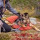 Hurtta Sleepover Sleeping Bag - wodoodporny śpiwór dla psa, z podszewką utrzymującą ciepło