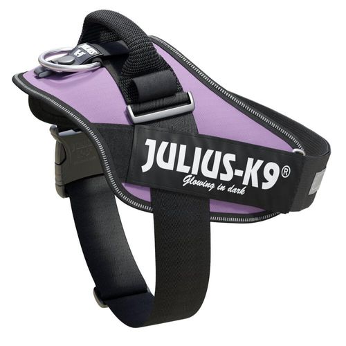 Julius-K9 IDC Powerharness Purple - najwyższej jakości szelki, uprząż dla psów w kolorze fioletowym