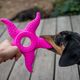 Kiwi Walker Octopus & Starfish 25cm - zabawka dla psa 2w1, pluszowa ośmiornica i pływająca rozgwiazda