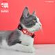 Dashi La Casa De Papel Bella Ciao Cat Collar - obroża dla kota, motyw z serialu Dom z Papieru, czerwona