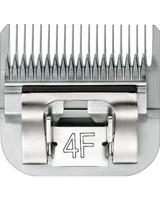 c41a175cb43ba7ce2b193ee2472ea40c