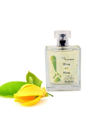 Dog Generation Ylang Ylang - perfumy dla psa o przyjemnym, kwiatowym zapachu - 100ml