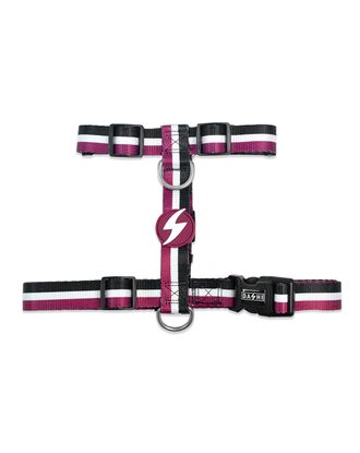 Dashi Stripes Purple & Black Back Harness - regulowane szelki guard dla psa, paski fioletowo-czarne