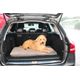 KONG Travel Fold-Up Mat 90x60x4cm - legowisko podróżne dla psa, składane