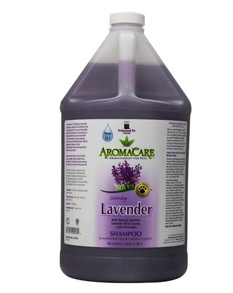 e128f0ed8006c06c04ef772e400f6ffc