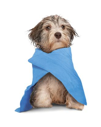 Record Dry Dog Towel 66x43cm - ręcznik chłodzący dla psa i kota