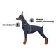 Dashi Solid Back Harness Black - regulowane szelki guard dla psa, czarne