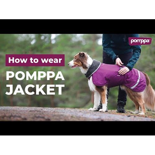 ポムッパ　ペルス　ペトロール　サイズ75 Perus Pomppa for Harness Plum - kurtka zimowa dla psa, z