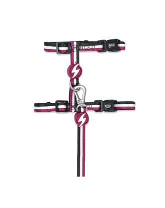 Dashi Stripes Purple & Black Cat Harness + Leash - szelki i smycz dla kota, zestaw, fioletowo-czarne paski