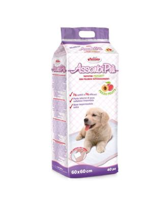 Record AssorbiPiu Fresh Fruits Puppy Pads 60x60cm - podkłady do nauki czystości dla szczeniąt, z plastrami mocującymi, o zapachu owoców - 40szt.