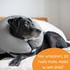 Bencmate Inflatable Collar Grey - pluszowy, dmuchany kołnierz dla psa i kota, szary