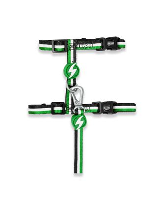 Dashi Stripes Green & Black Cat Harness + Leash - szelki i smycz dla kota, zestaw, zielono-czarne paski