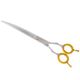 P&W Wild Rose Curved Scissors - nożyczki gięte z satynowym wykończeniem i jednostronnym mikroszlifem