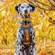 Kurgo Journey Air Harness Orange - szelki do biegania dla psa, pomarańczowe