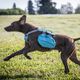Kurgo Baxter Backpack 3,75L Blue - sakwy dla średniego i dużego psa, niebieskie