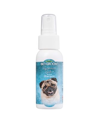 Bio-Groom Waterless Bath - suchy szampon w sprayu dla psa i kota, nie powoduje łzawienia - 59ml