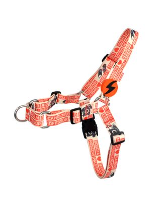 Dashi La Casa De Papel Jarana Front Harness - szelki norweskie dla psa, motyw z serialu Dom z Papieru, beżowe