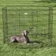 MidWest ConTour Exercise Pen - zagroda, płotek, kojec dla psa, wysokość 122cm
