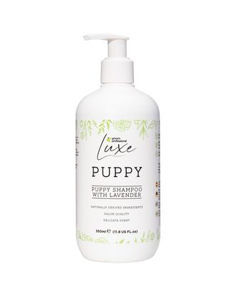 Groom Professional Luxe Puppy Shampoo - łagodny szampon dla szczeniąt, o zapachu lawendy, koncentrat 1:30